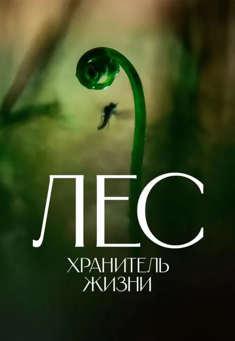 Лес. Хранитель жизни
